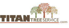 Titan Tree Service
